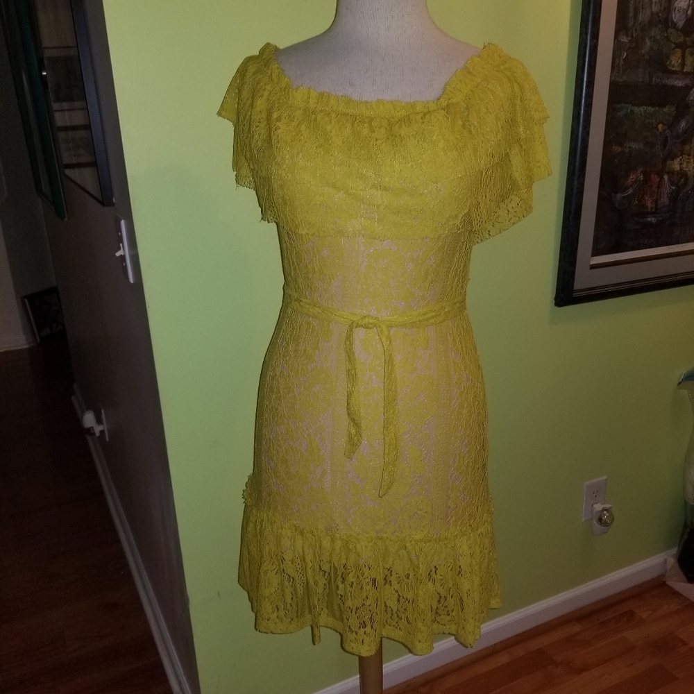⚡️Flirty and Feminine Lace Dress by Sharagano - Picture 2 of 7